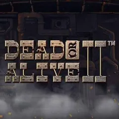 Dead or Alive 2 — Bhaggo Casino real money