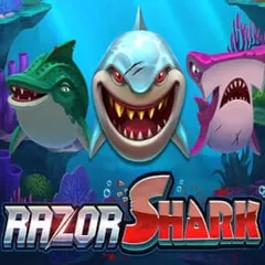 Razor Shark — Bhaggo Casino real money